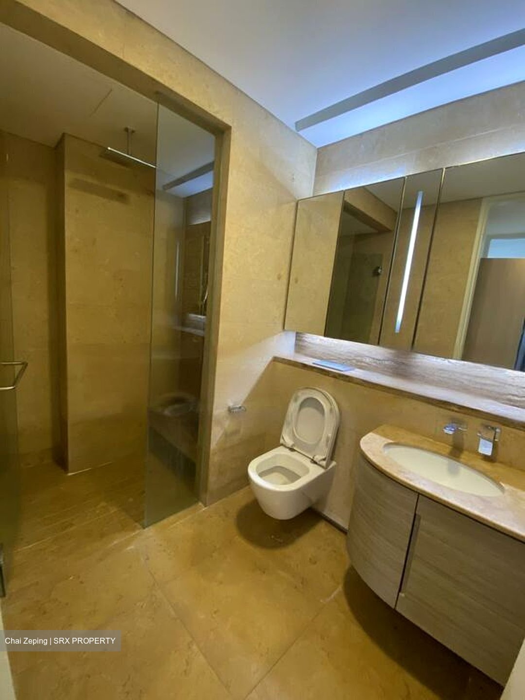 Duo Residences (D7), Apartment #455783931
